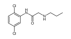 Acetamide, N-(2,5-dichlorophenyl)-2-(propylamino)结构式