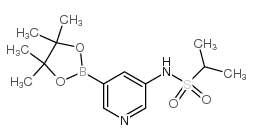 N-(5-(4,4,5,5-四甲基-1,3,2-二噁硼烷-2-基)吡啶-3-基)丙烷-2-磺酰胺结构式