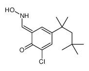2-chloro-6-[(hydroxyamino)methylidene]-4-(2,4,4-trimethylpentan-2-yl)cyclohexa-2,4-dien-1-one结构式