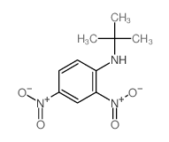 Benzenamine,N-(1,1-dimethylethyl)-2,4-dinitro- Structure