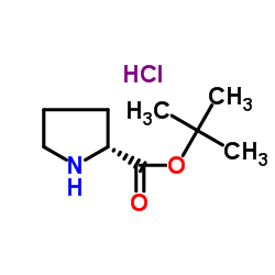 D -脯氨酸叔丁基酯盐酸盐结构式