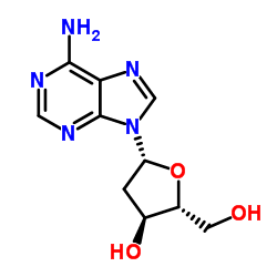2'-deoxyadenosine picture