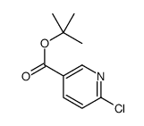 6-氯烟酸叔丁酯结构式