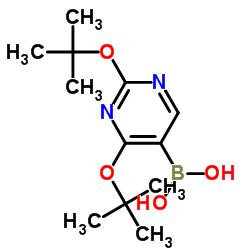 2,4-二叔丁氧基嘧啶-5-硼酸水合物结构式