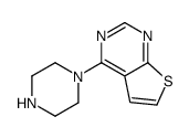 4-Piperazin-1-ylthieno[2,3-d]pyrimidine Structure