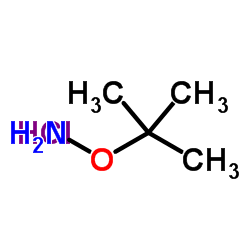 O-叔丁基羟胺盐酸盐结构式