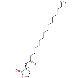 N-十六烷酰基-L-高丝氨酸内酯结构式