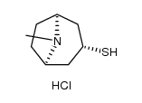 外-托品-3-硫醇盐酸盐结构式