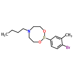 4-Bromo-3-methylphenylboronic acid N-butyldiethanolamine ester结构式