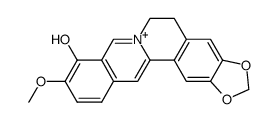 10-Methoxy-5,6-dihydrobenzo[g]-1,3-benzodioxolo[5,6-a]quinolizinium-9-ol structure