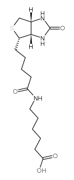 N-Biotinyl-6-aminohexanoic acid Structure