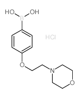 4-(2-吗啉乙氧基)苯硼酸盐酸盐图片