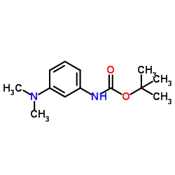 (3-(二甲氨基)苯基)氨基甲酸叔丁酯结构式