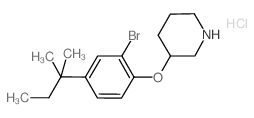 2-Bromo-4-(tert-pentyl)phenyl 3-piperidinyl ether hydrochloride Structure