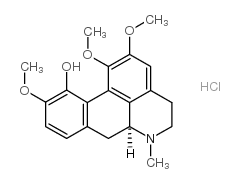(+)-Isocorydine hydrochloride Structure