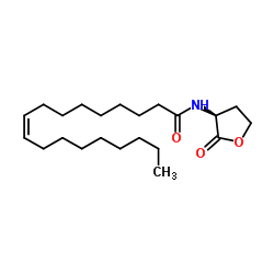 (9Z)-N-[(3S)-2-Oxotetrahydro-3-furanyl]-9-octadecenamide Structure