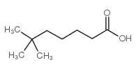 6,6-dimethylheptanoic acid结构式