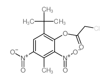 6-tert-Butyl-2, 4-dinitro-3-methylphenyl chloroacetate structure