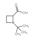 1-叔丁基-2-氮杂丁烷羧酸图片