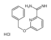 6-phenylmethoxypyridine-2-carboximidamide,hydrochloride Structure