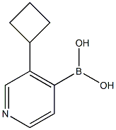 3-(Cyclobutyl)pyridine-4-boronic acid Structure