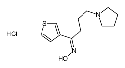 (NZ)-N-(4-pyrrolidin-1-yl-1-thiophen-3-ylbutylidene)hydroxylamine,hydrochloride Structure