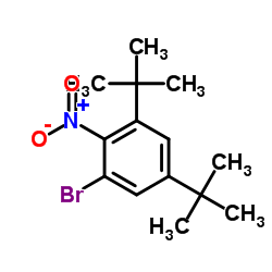 1-Bromo-3,5-di-tert-butyl-2-nitrobenzene Structure