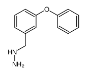3-PHENOXY-BENZYL-HYDRAZINE Structure