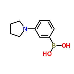 [3-(1-Pyrrolidinyl)phenyl]boronic acid Structure