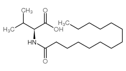 N-十四碳酰基-L-缬氨酸结构式