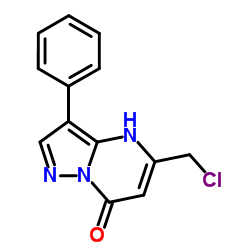 5-(Chloromethyl)-3-phenylpyrazolo[1,5-a]pyrimidin-7(4H)-one结构式