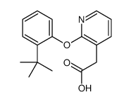 2-[2-(2-tert-butylphenoxy)pyridin-3-yl]acetic acid Structure