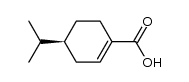 (-)-phellandrenoic acid Structure