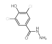 3,5-Dichloro-4-hydroxybenzohydrazide Structure