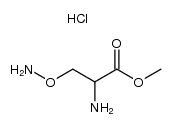DL-β-aminoxyalanine methyl ester dihydrochloride Structure