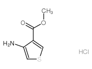 3-氨基噻吩-4-羧酸甲酯盐酸盐结构式