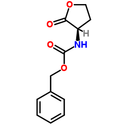 (R)-2-氧代四氢呋喃-3-基氨基甲酸苄酯结构式