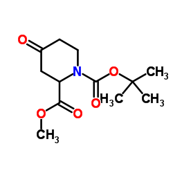 4-Oxo-1,2-piperidinedicarboxylic acid 1-(tert-butyl) 2-methyl ester Structure
