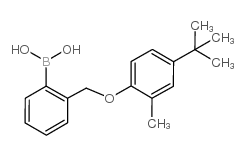2-[(4′-叔丁基-2′-甲基苯氧基)甲基]苯硼酸结构式