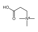 2-carboxyethyl(trimethyl)azanium Structure