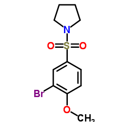 1-[(3-Bromo-4-methoxyphenyl)sulfonyl]pyrrolidine结构式