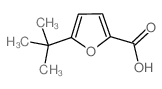 5-叔丁基呋喃-2-羧酸结构式