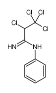 2,3,3,3-tetrachloro-N'-phenylpropanimidamide Structure