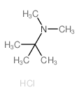 N,N,2-trimethylpropan-2-amine结构式
