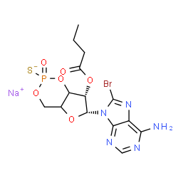 8-溴2'-单丁酰腺苷-3',5'-环一硫代磷酸酯,Rp异构体结构式