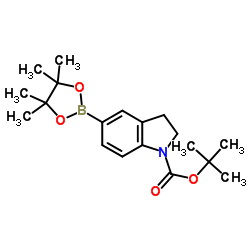 tert-butyl 5-(4,4,5,5-tetramethyl-1,3,2-dioxaborolan-2-yl)indoline-1-carboxylate structure