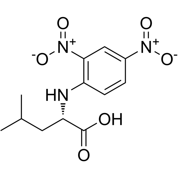 N-(2,4-二硝基苯)-L-亮氨酸图片