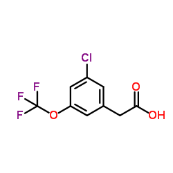 3-Chloro-5-(trifluoromethoxy)phenylacetic acid Structure