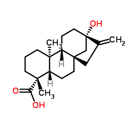 Steviol Structure