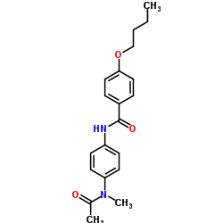 N-{4-[Acetyl(methyl)amino]phenyl}-4-butoxybenzamide结构式